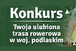 Ilustracja do artykułu miniaturka konkurs.png