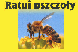 Ilustracja do artykułu miniarurka.png