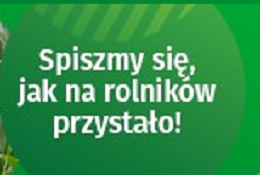 Ilustracja do artykułu 12.png